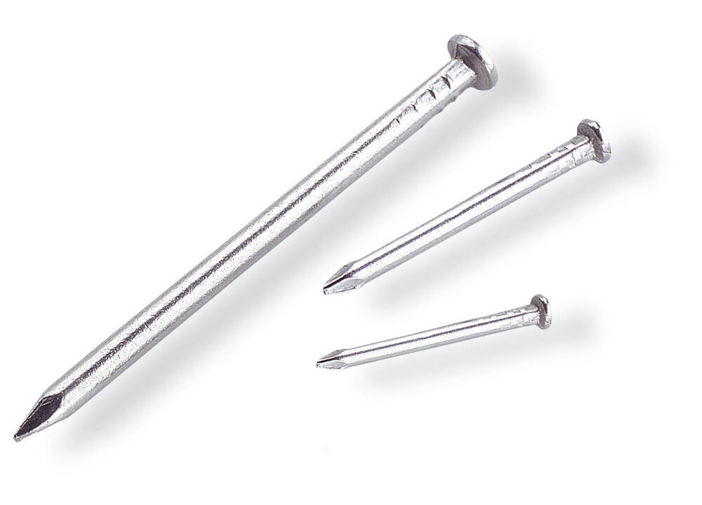 Prego com Cabeça Bemfixa 1,60x25mm Aço
