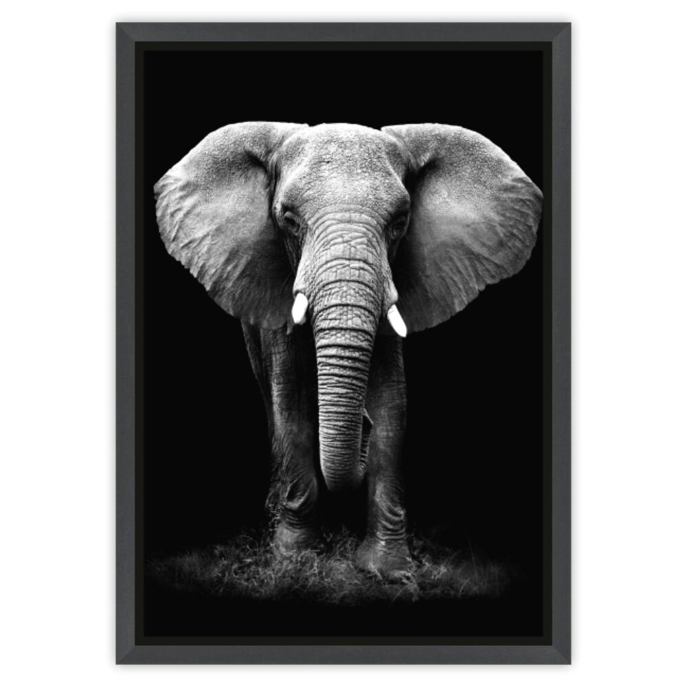 Quadro Tropical Artes 50x70cm Elefante Preto