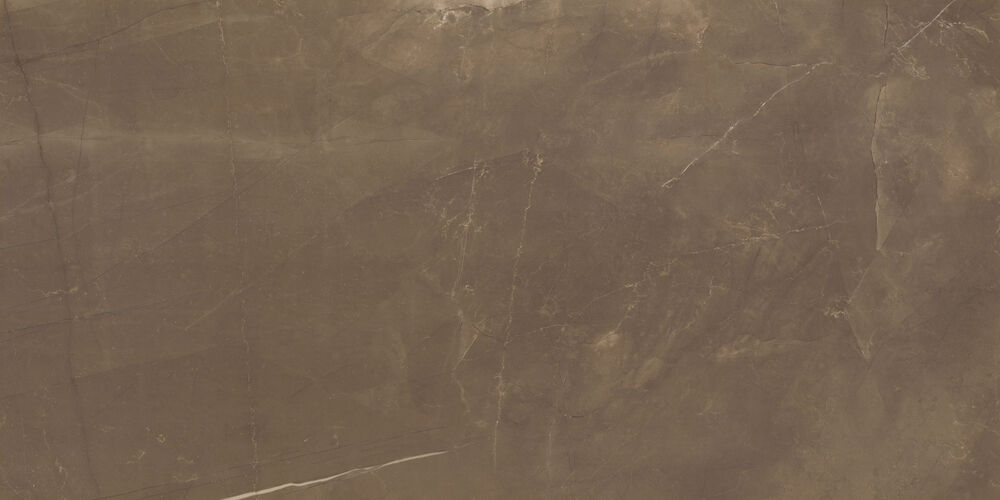 Porcelanato Pulpis Brown Retificado 60x120 Eliane