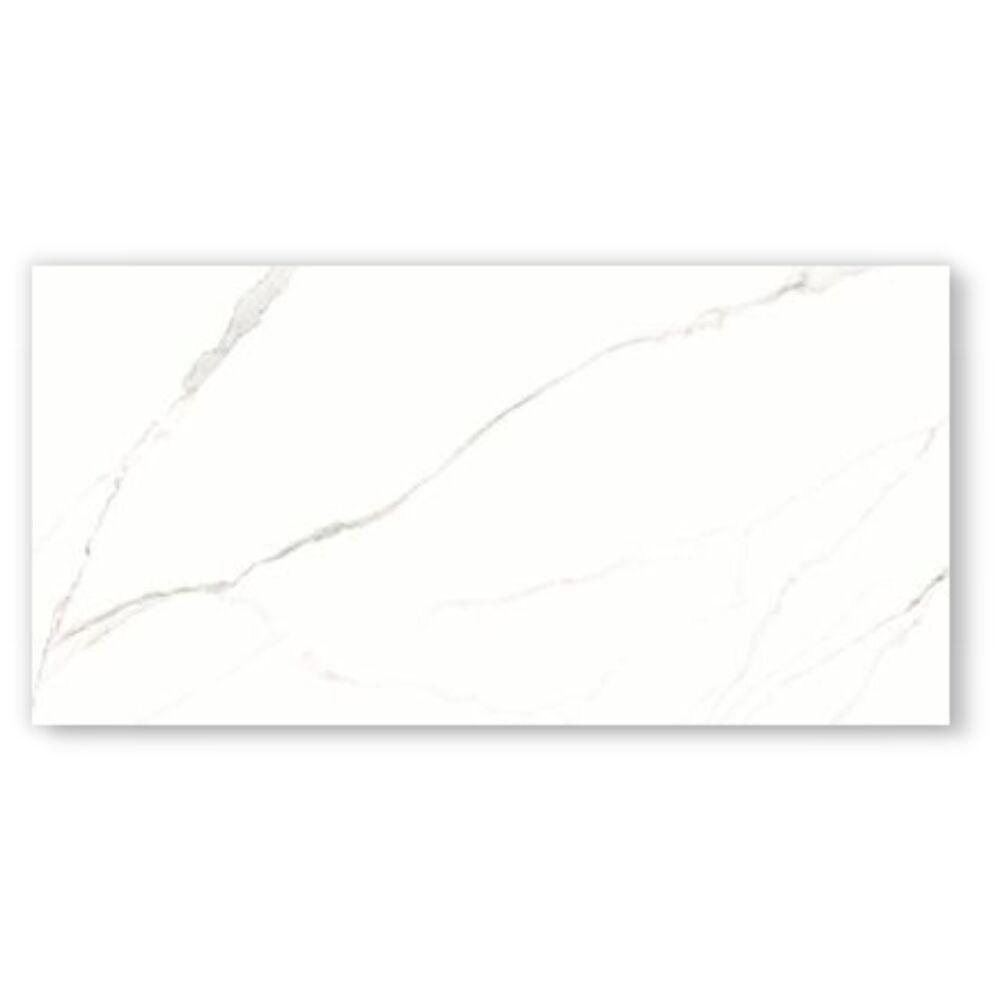 Porcelanato Statuário Retificado Acetinado 62x121 Damme