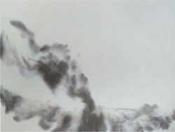 Piso Cimentício Compose Branco/Preto 75x100x2 Interno Cimentíssimo