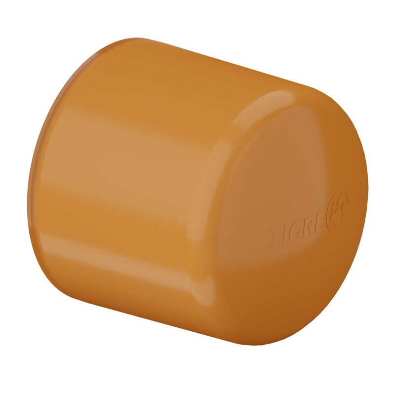 CAP 2