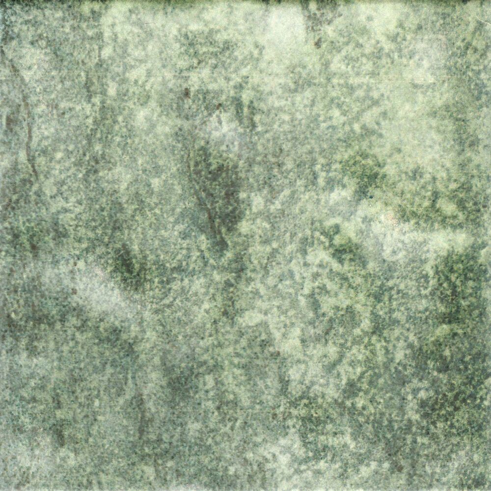 Revestimento Parede Gloss Ivy Verde Bold Polido 20x20 Pierini