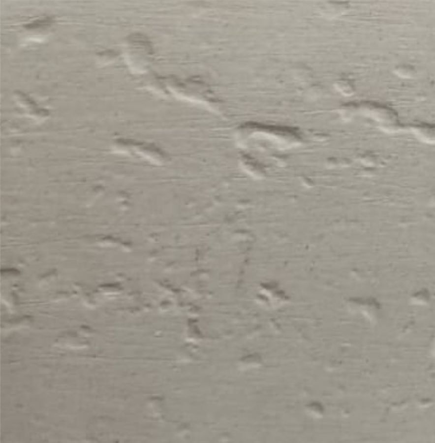 Piso 50x50x2 Travertino Grezzo Int Natural Cimentíssimo