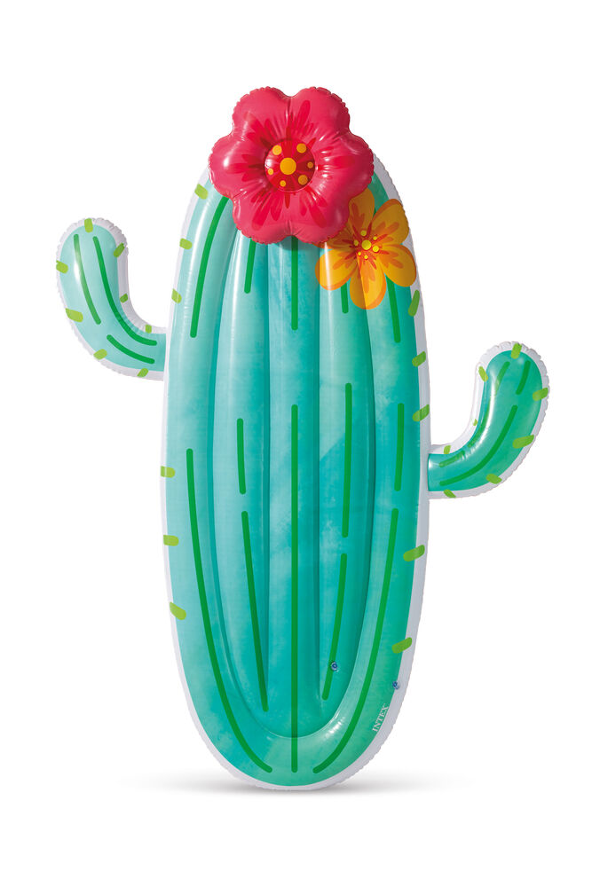 Boia para Piscina Cactus Azul Intex