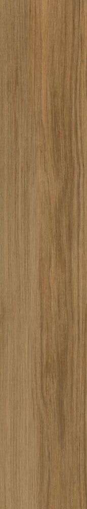 Porcelanato Arbo Natural Mono Retificado Acetinado 20x120 Biancogres