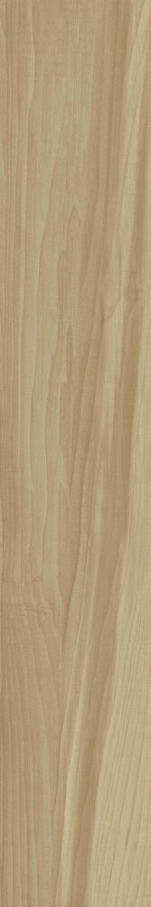 Porcelanato Donatelo Mono Retificado Acetinado 20x120 Biancogres