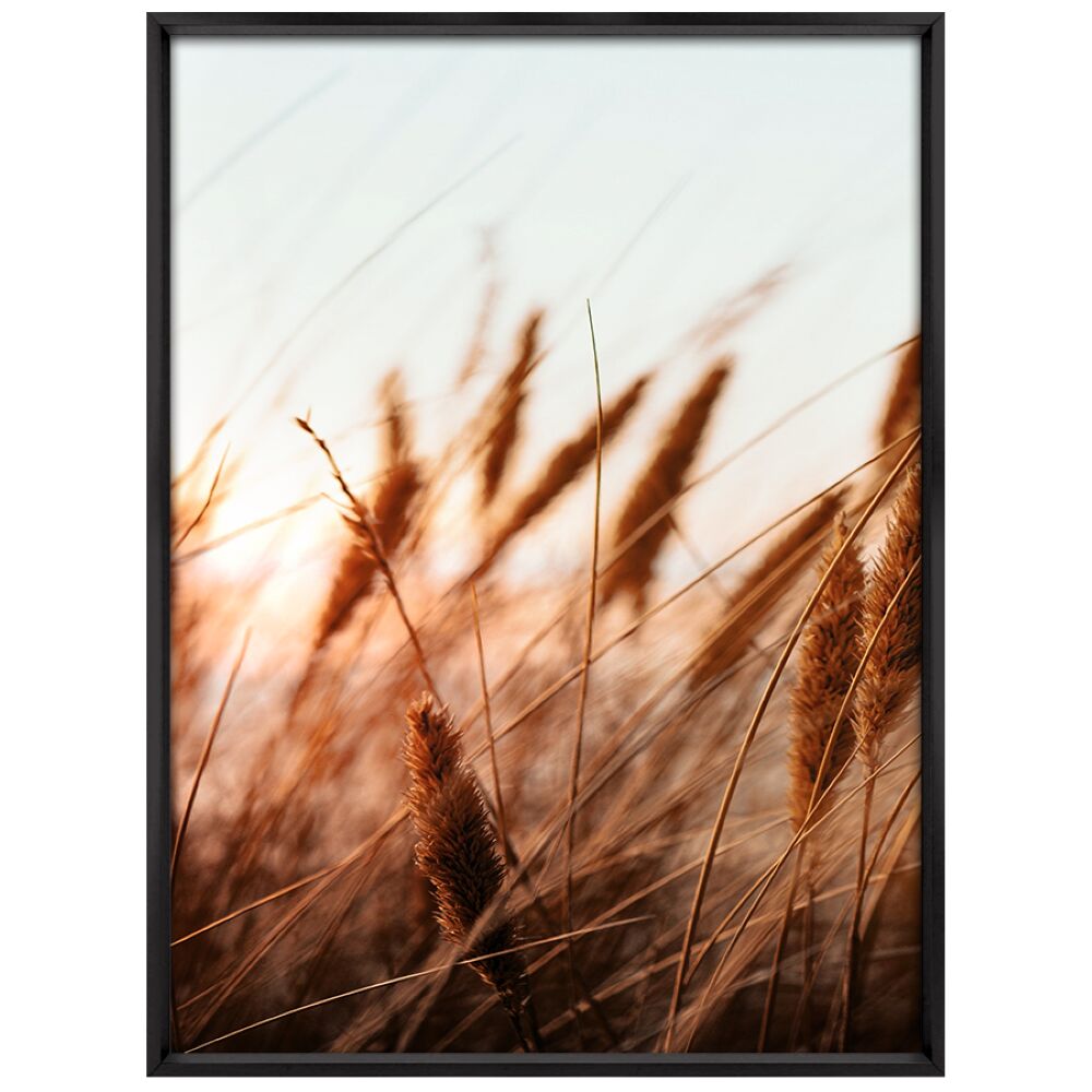 Quadro 50x70cm Trigo Tropical Artes