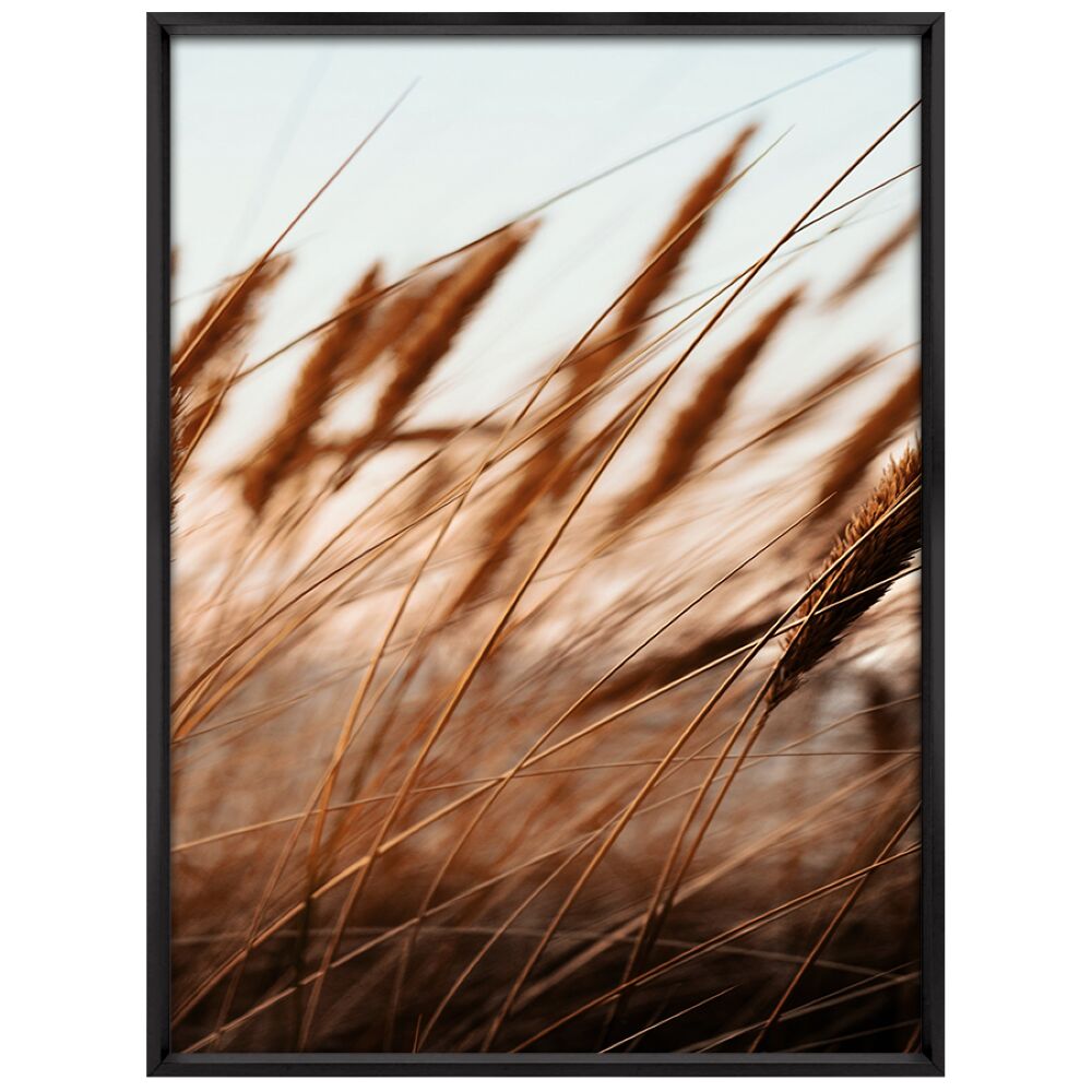 Quadro 50x70cm Trigo II Tropical Artes